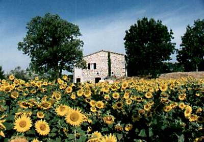 La ferme San Leonardo